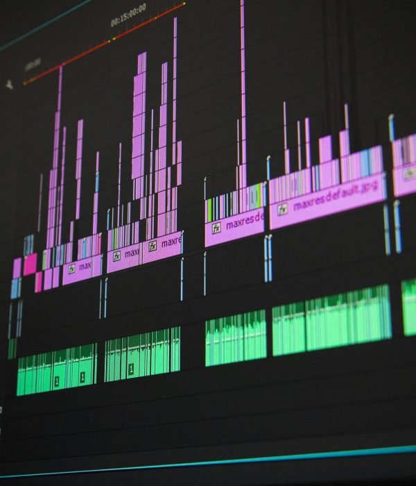 Close-up of a professional audio and video editing software interface with waveform displays.